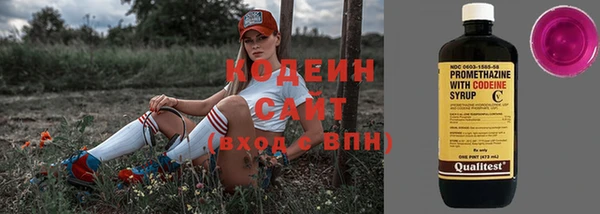индика Богородицк