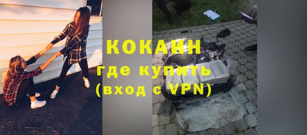 шишки Белоозёрский