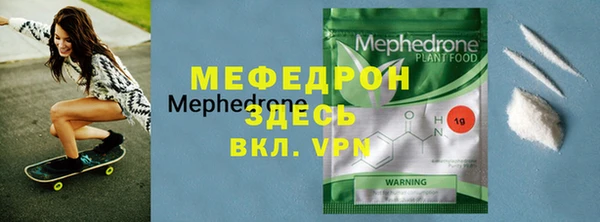 индика Богородицк