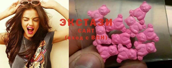 индика Богородск