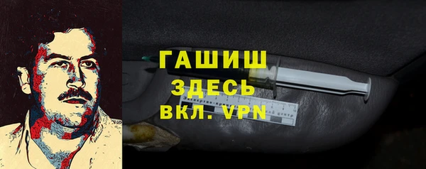 индика Богородск