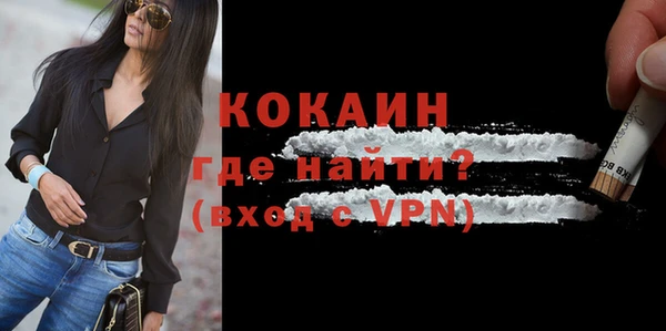 шишки Белоозёрский