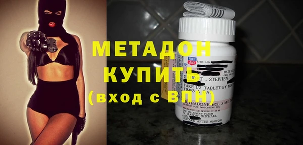 индика Богородицк