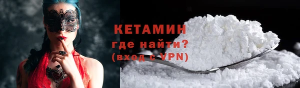 индика Богородск