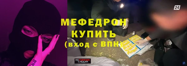 индика Богородицк