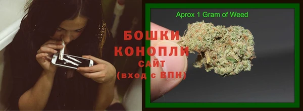 гашик Белокуриха