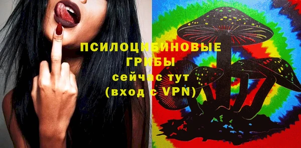 шишки Белоозёрский