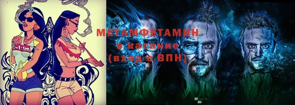 шишки Белоозёрский