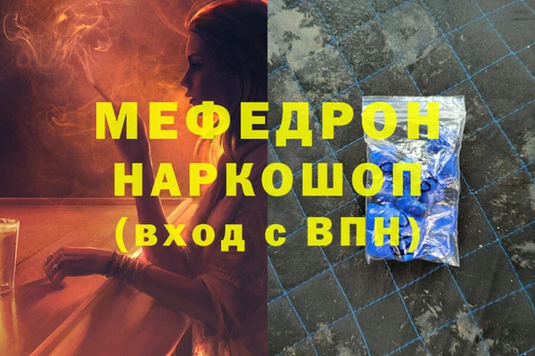индика Богородицк