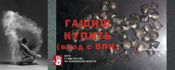 индика Богородск