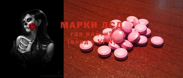 индика Богородицк
