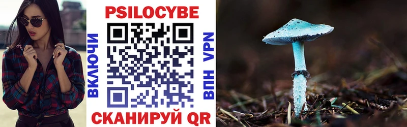 Псилоцибиновые грибы Psilocybine cubensis  Ялуторовск 